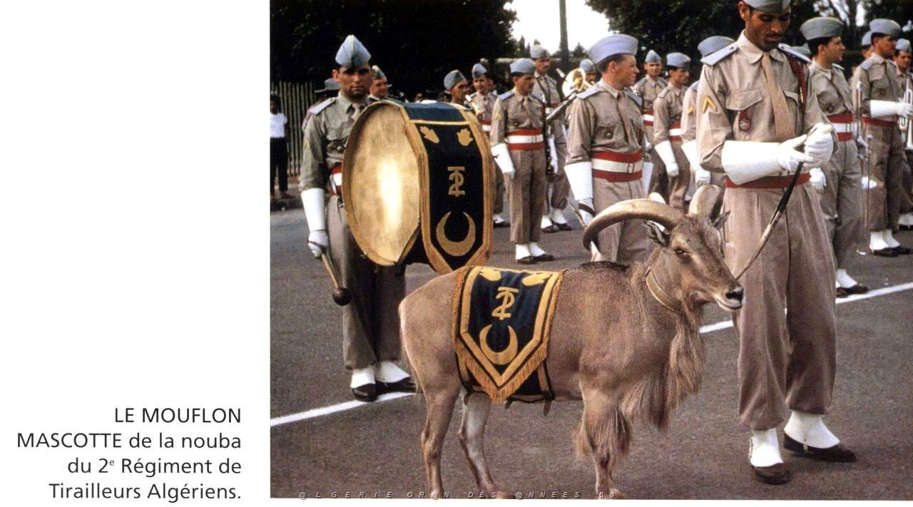 Images d'Algerie 101.JPG
